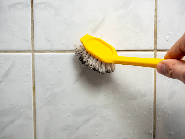 Best Health and Safety Mold Remediation in South Pekin, IL