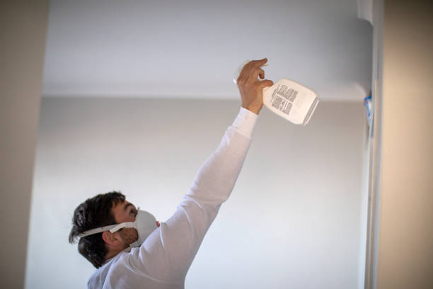 Best Localized Mold Remediation (e.g., coastal areas, humid climates) in South Pekin, IL