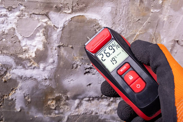 Best Post-Remediation Services in South Pekin, IL