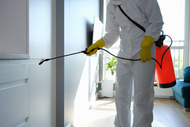 Best Insurance-Related Mold Remediation in South Pekin, IL