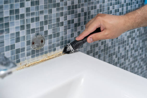 Best Industrial Mold Remediation in South Pekin, IL